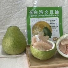 產品編號# 01986