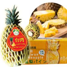 產品編號# 01113