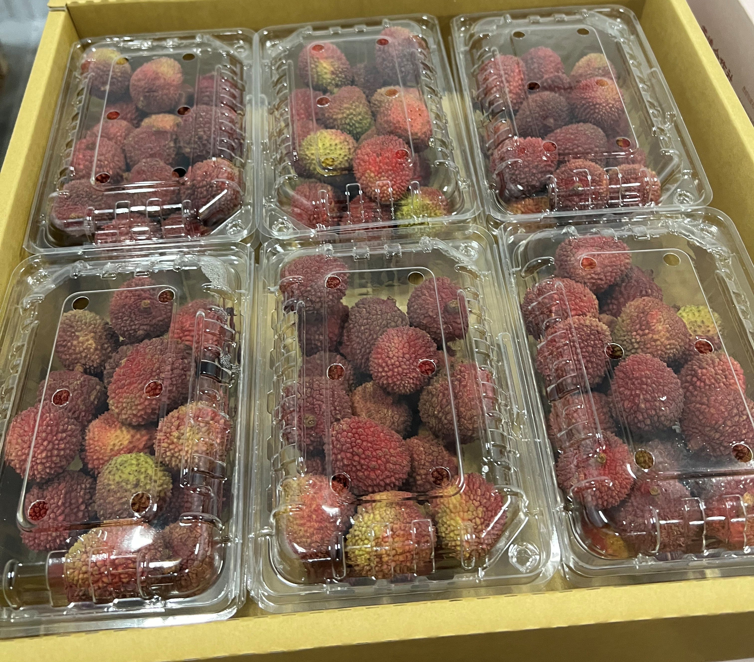 自然屋