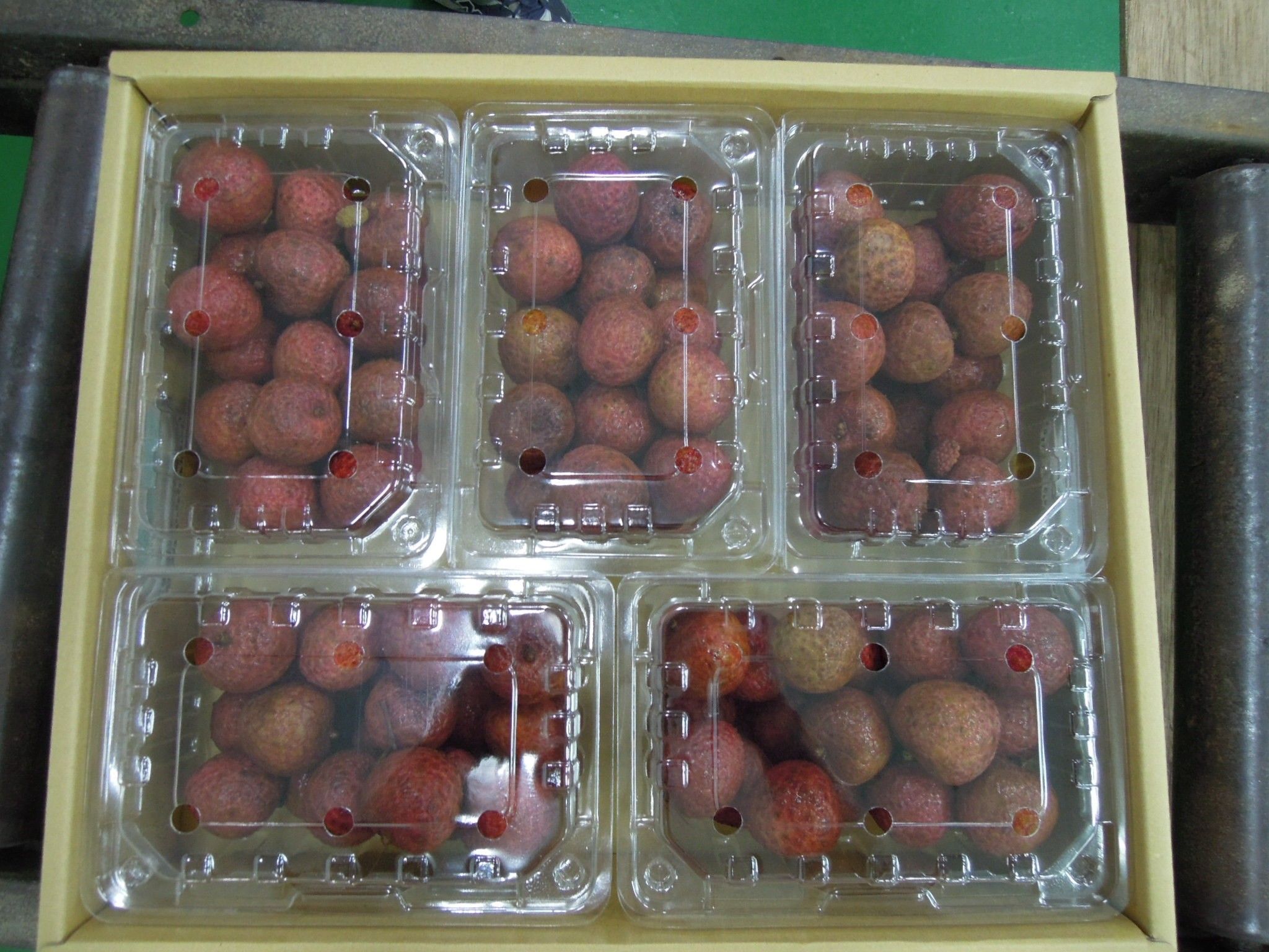 自然屋
