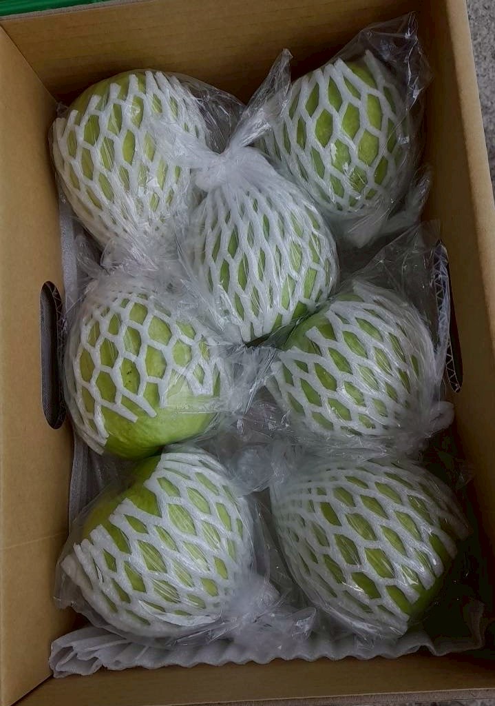 自然屋