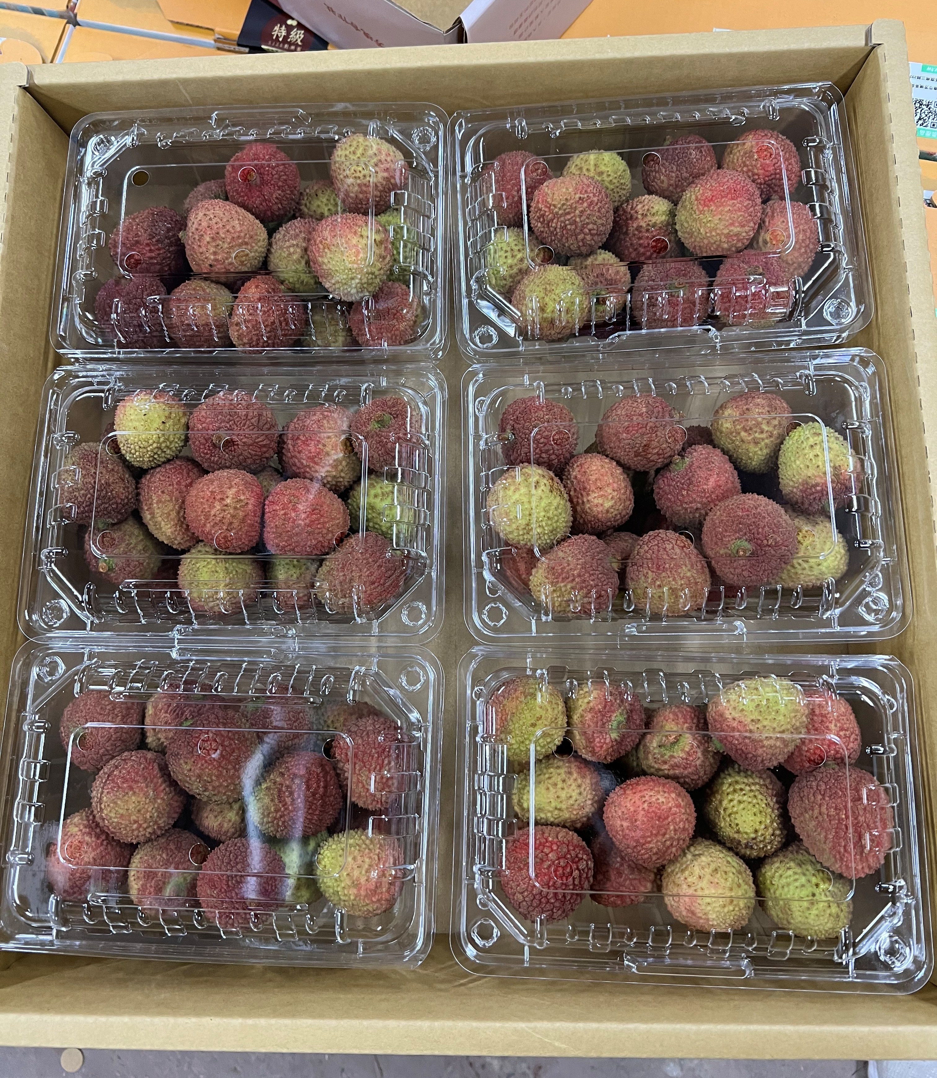 自然屋